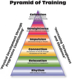 Pyramid_of_training-sm